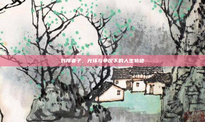 刘翔妻子，光环与争议下的人生轨迹