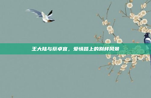 王大陆与蔡卓宜,爱情路上的别样风景