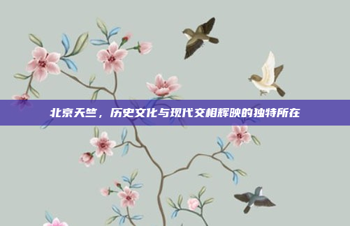 北京天竺,历史文化与现代交相辉映的独特所在