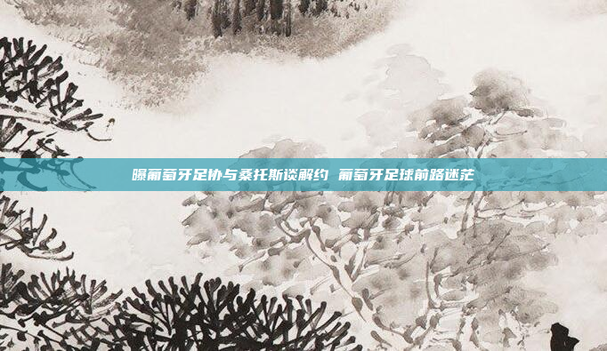 曝葡萄牙足协与桑托斯谈解约 葡萄牙足球前路迷茫