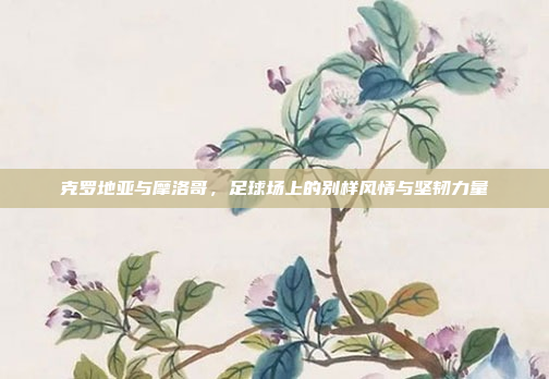 克罗地亚与摩洛哥，足球场上的别样风情与坚韧力量