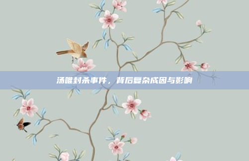 汤唯封杀事件，背后复杂成因与影响