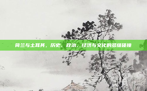 荷兰与土耳其，历史、政治、经济与文化的多维碰撞