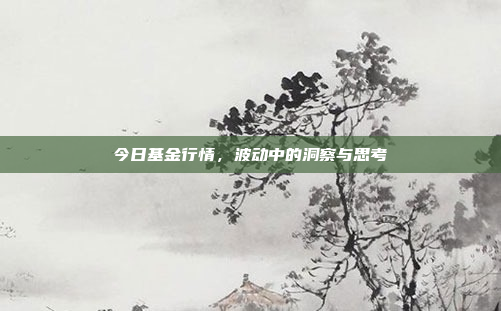 今日基金行情，波动中的洞察与思考