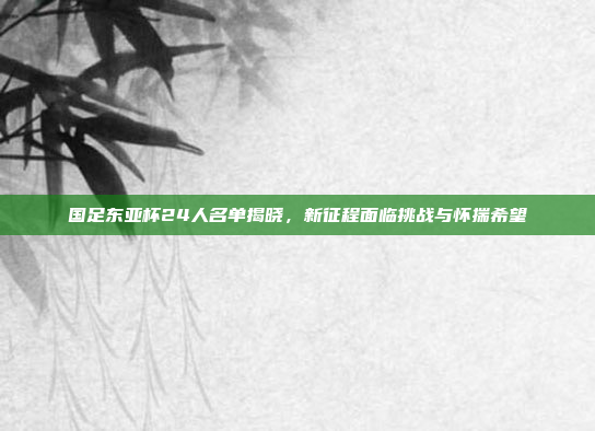 国足东亚杯24人名单揭晓，新征程面临挑战与怀揣希望