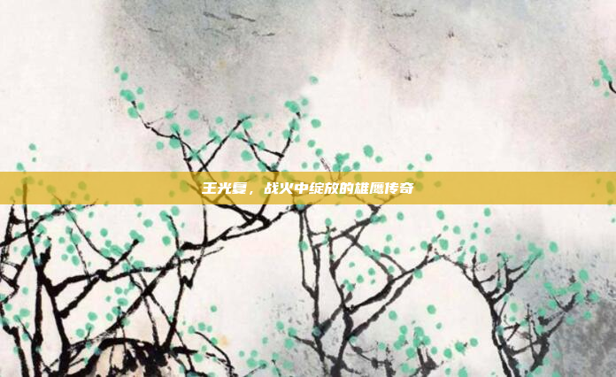 王光复，战火中绽放的雄鹰传奇