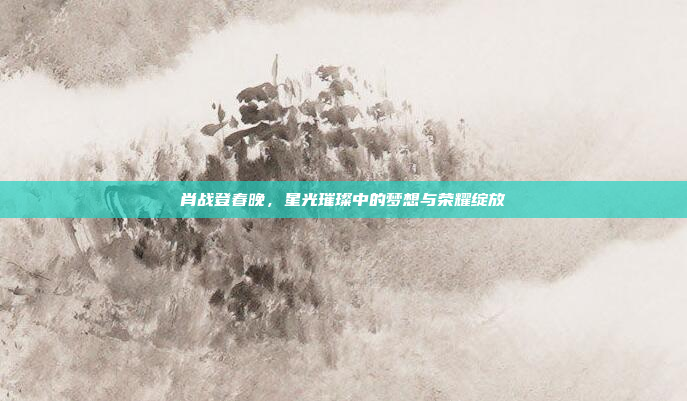 肖战登春晚，星光璀璨中的梦想与荣耀绽放