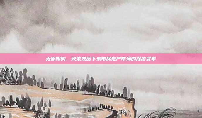 太原限购,政策效应下城市房地产市场的深度变革