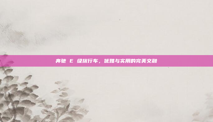 奔驰 E 级旅行车，优雅与实用的完美交融
