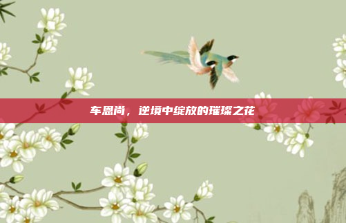 车恩尚，逆境中绽放的璀璨之花