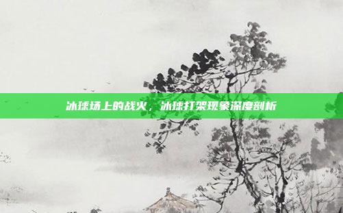 冰球场上的战火，冰球打架现象深度剖析