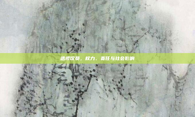 透视议员，权力、责任与社会影响