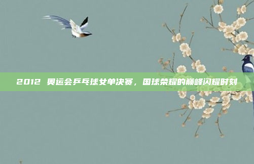 2012 奥运会乒乓球女单决赛,国球荣耀的巅峰闪耀时刻