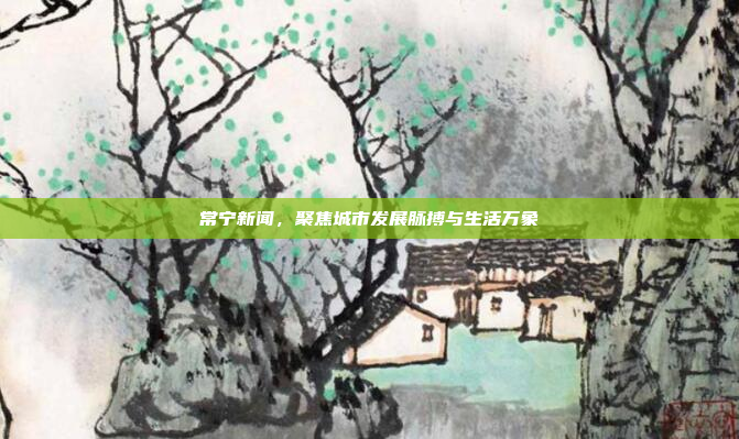 常宁新闻，聚焦城市发展脉搏与生活万象