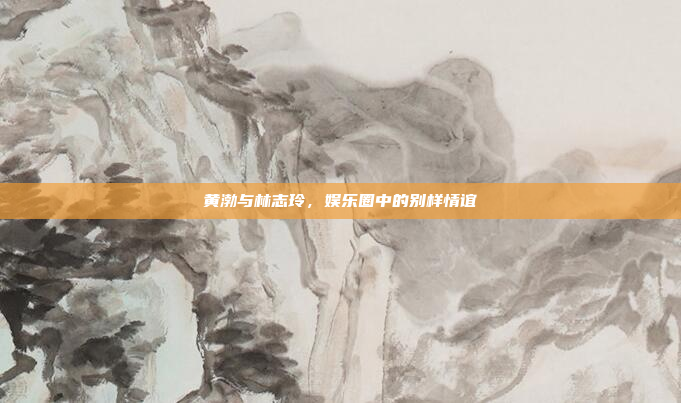 黄渤与林志玲,娱乐圈中的别样情谊
