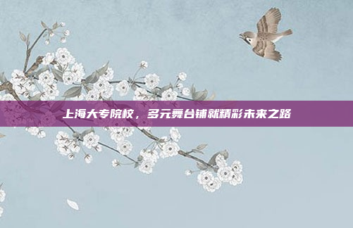 上海大专院校，多元舞台铺就精彩未来之路