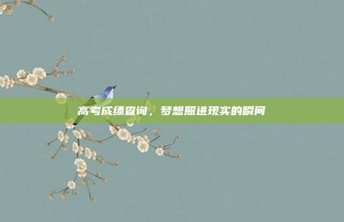高考成绩查询，梦想照进现实的瞬间