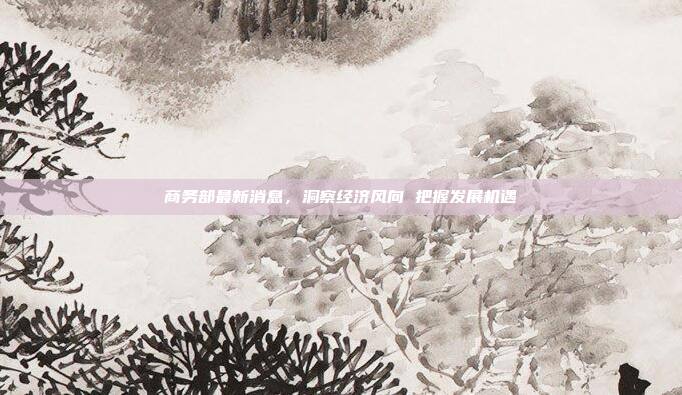 商务部最新消息，洞察经济风向 把握发展机遇