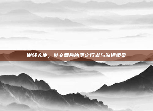 谢峰大使,外交舞台的坚定行者与沟通桥梁