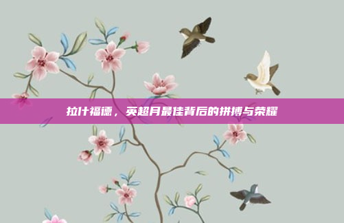 拉什福德，英超月最佳背后的拼搏与荣耀