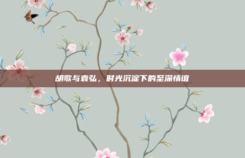 胡歌与袁弘，时光沉淀下的至深情谊