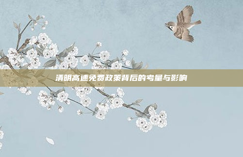 清明高速免费政策背后的考量与影响