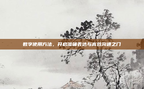 数字使用方法，开启准确表达与高效沟通之门