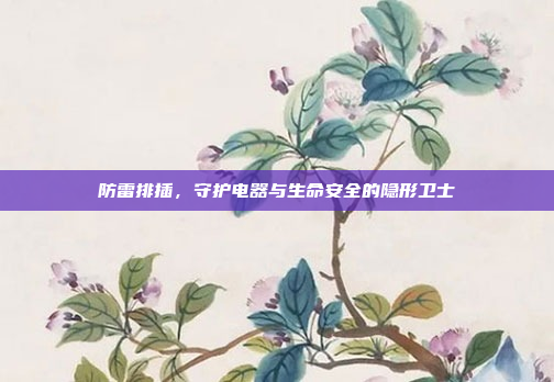 防雷排插，守护电器与生命安全的隐形卫士