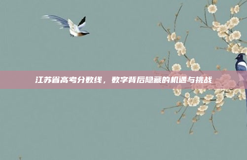 江苏省高考分数线，数字背后隐藏的机遇与挑战