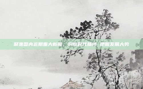 聚焦国内近期重大新闻，洞察时代脉搏 把握发展大势
