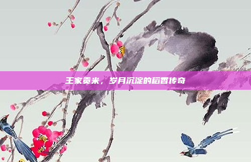 王家贡米，岁月沉淀的稻香传奇