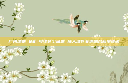 广州地铁 22 号线延至深圳 成大湾区交通融合新里程碑