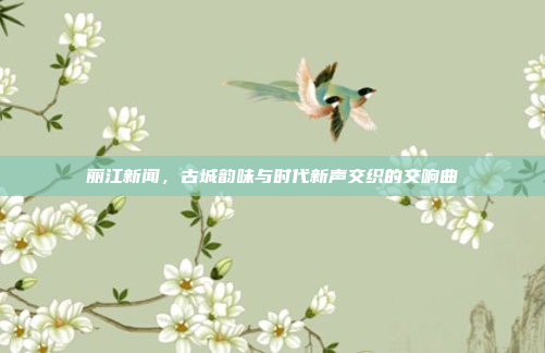 丽江新闻，古城韵味与时代新声交织的交响曲