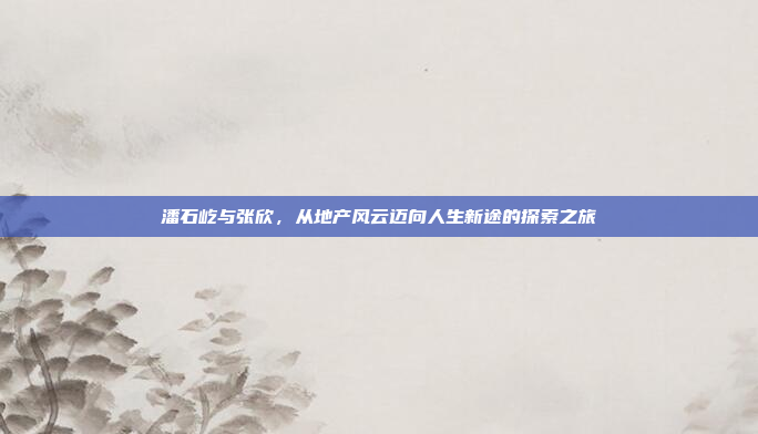 潘石屹与张欣,从地产风云迈向人生新途的探索之旅
