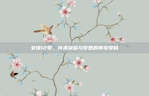女排12号，传承荣耀与梦想的传奇号码