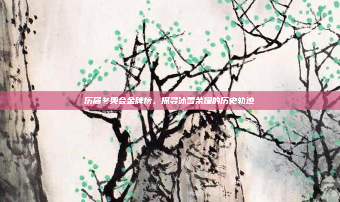 历届冬奥会金牌榜,探寻冰雪荣耀的历史轨迹