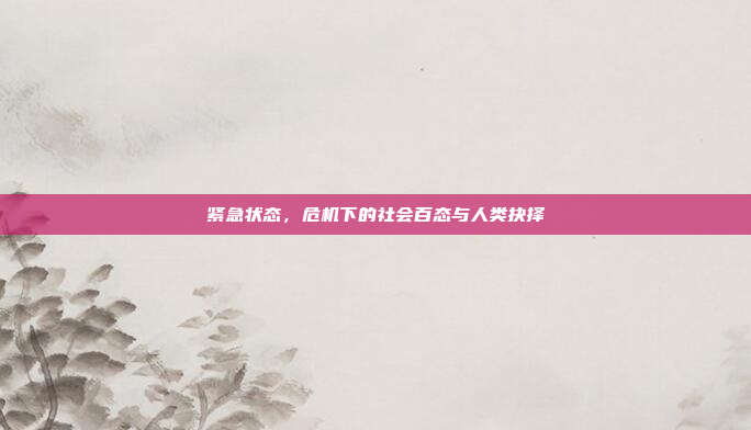 紧急状态,危机下的社会百态与人类抉择