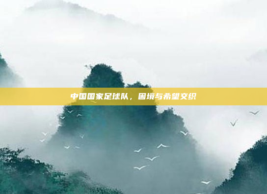中国国家足球队，困境与希望交织