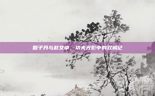 甄子丹与赵文卓，功夫光影中的双城记
