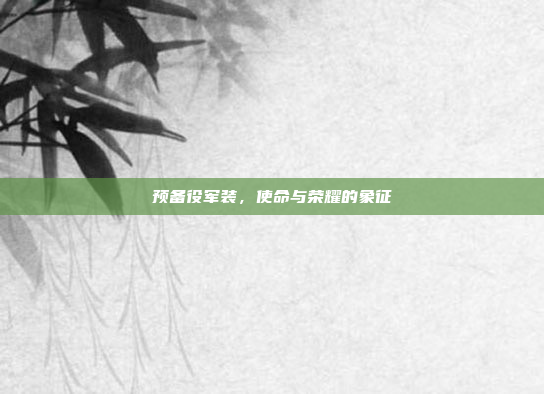 预备役军装，使命与荣耀的象征