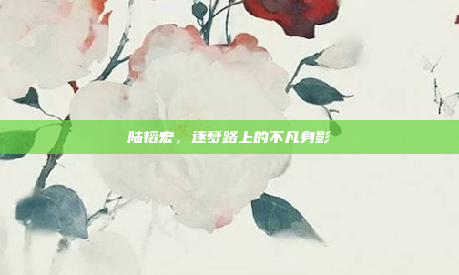 陆韬宏，逐梦路上的不凡身影