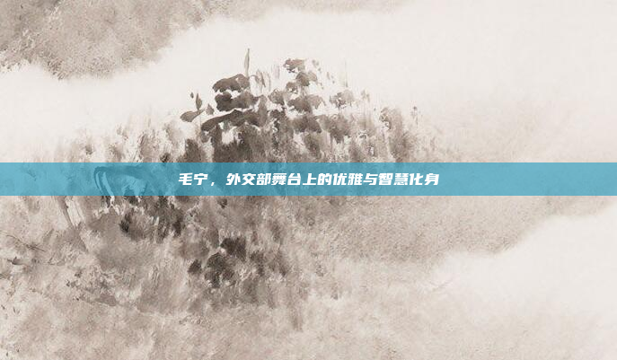 毛宁，外交部舞台上的优雅与智慧化身