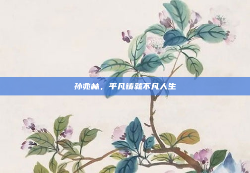 孙兆林，平凡铸就不凡人生