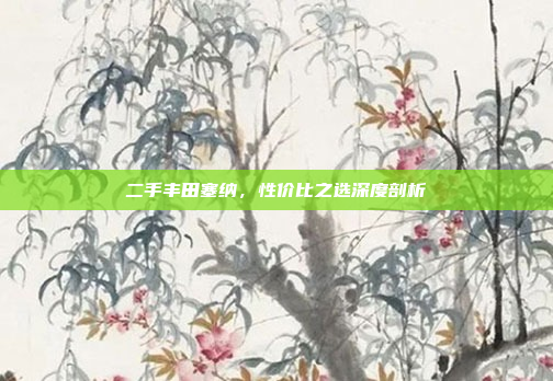 二手丰田塞纳，性价比之选深度剖析