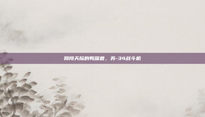 翱翔天际的鸭嘴兽,苏-34战斗机