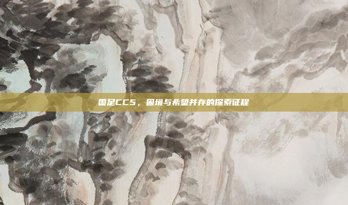 国足CC5，困境与希望并存的探索征程
