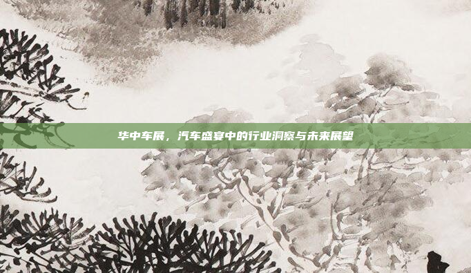 华中车展，汽车盛宴中的行业洞察与未来展望