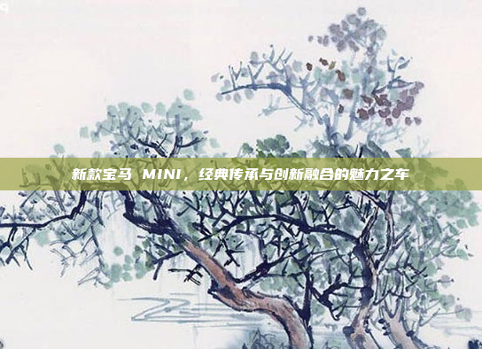 新款宝马 MINI,经典传承与创新融合的魅力之车