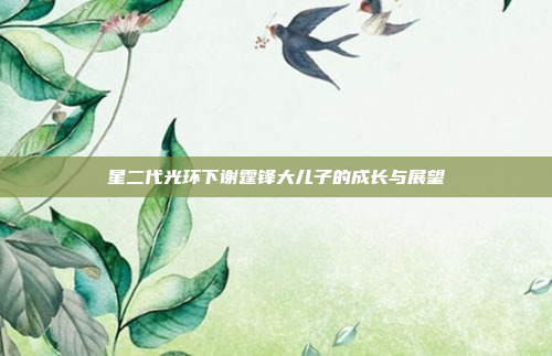 星二代光环下谢霆锋大儿子的成长与展望