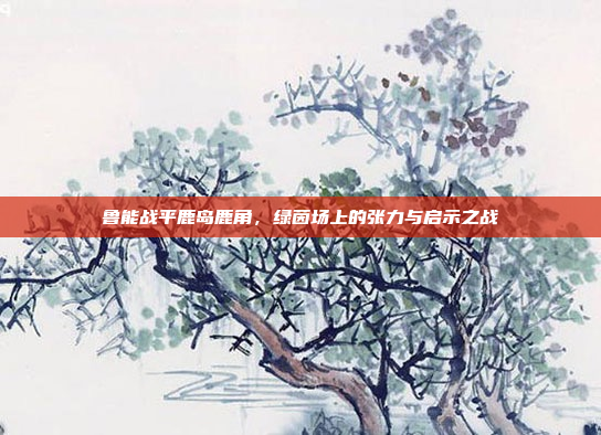 鲁能战平鹿岛鹿角，绿茵场上的张力与启示之战